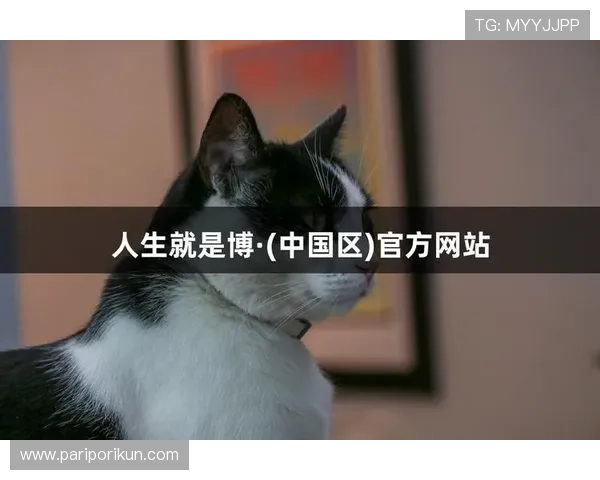 尊龙凯时人生就是搏网址：面对挑战时的心态调整与应对策略