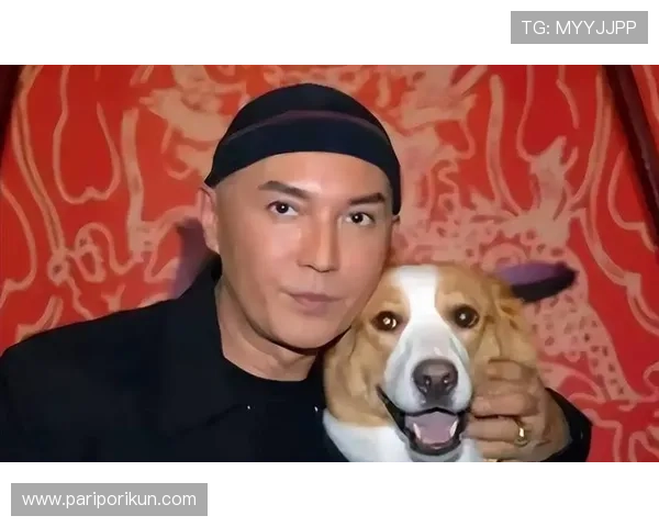 尊龙时凯人生就是博官网登录：如何通过平台实现个人价值最大化